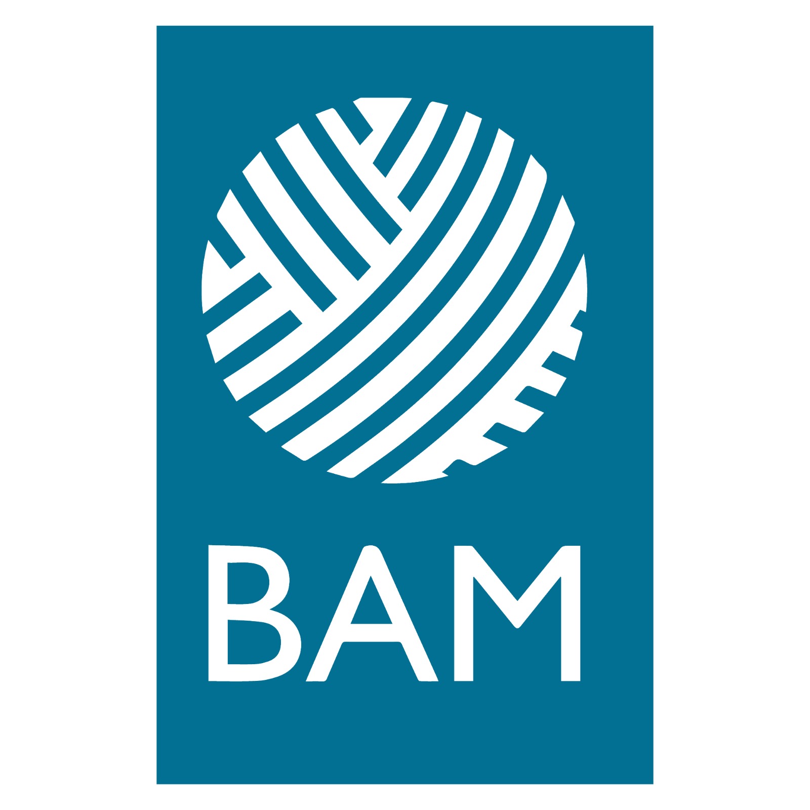 Logo BAM